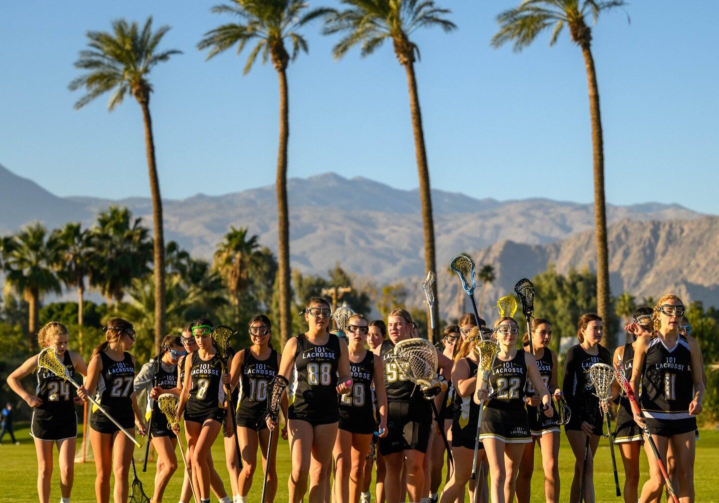 431517200_1393280374883135_4747834153771746388_n 431517200_1393280374883135_4747834153771746388_n